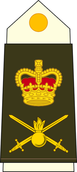 檔案:陸軍-武職元首.png