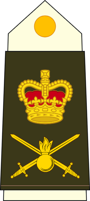 陸軍-武職元首.png