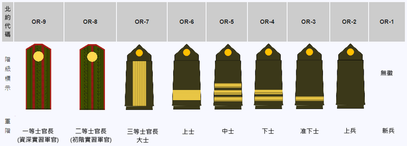 檔案:伊坦里卡-准尉、士官、士兵常服軍階列表.PNG.png