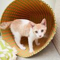 於 2024年4月1日 (一) 18:57 版本的縮圖