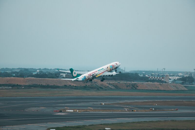 檔案:起飛-《跑道-桃園機場》.jpg