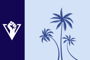 海南特別行政區區旗.png