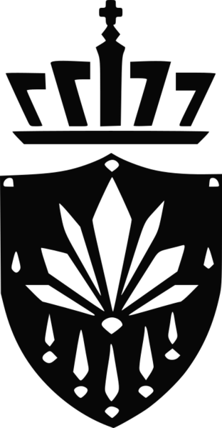 檔案:371530837 896271845352218 2920475032002840241 n.png