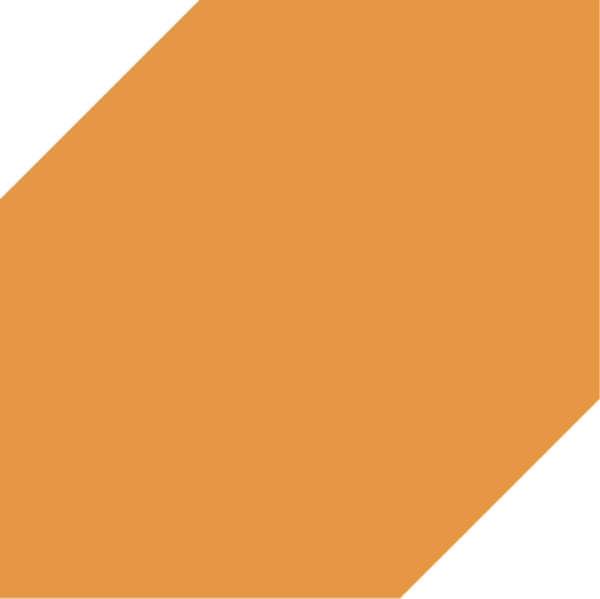 檔案:人民力量.png