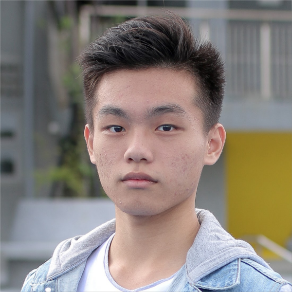檔案:Lin Chenghan portrait.png