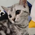 於 2024年4月1日 (一) 18:57 版本的縮圖