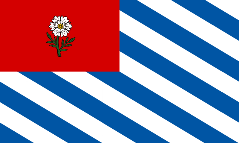 檔案:上江市市旗.png