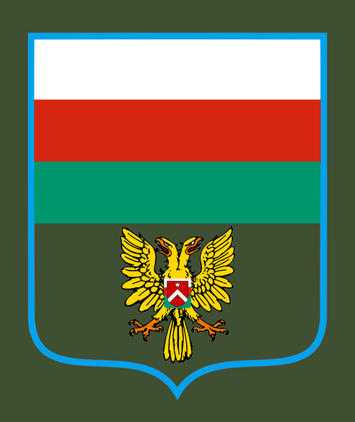 檔案:伊坦里卡人民軍空軍-新國徽第007號命令臂章.png
