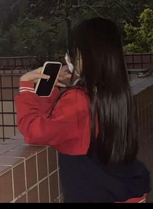 第一夫人照片.jpeg