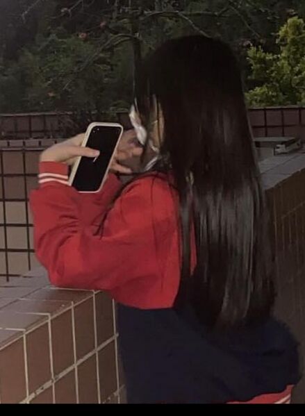 檔案:第一夫人照片.jpeg