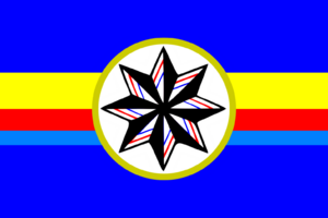 抖音微國家合作伙伴協會.png