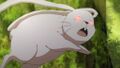 於 2024年5月13日 (一) 17:25 版本的縮圖