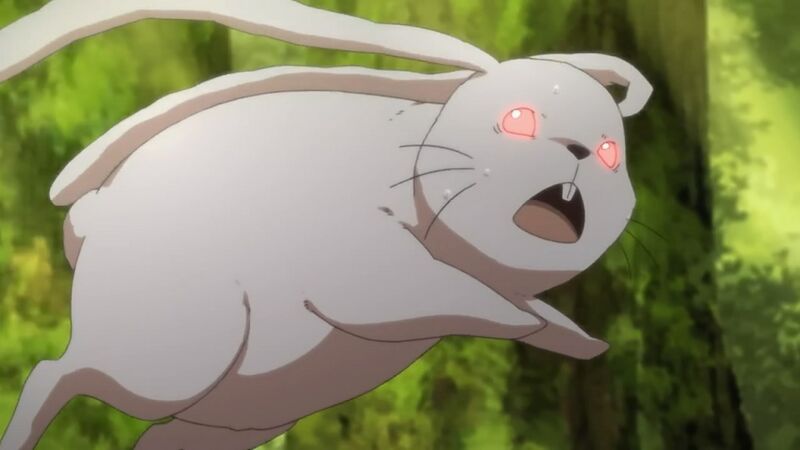 檔案:燉兔.jpg