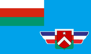 伊坦里卡-民防總隊軍旗.png