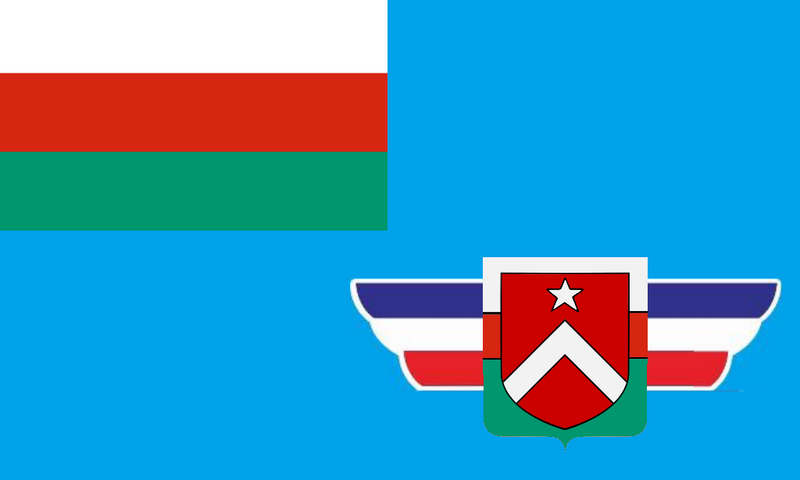 檔案:伊坦里卡-民防總隊軍旗.png