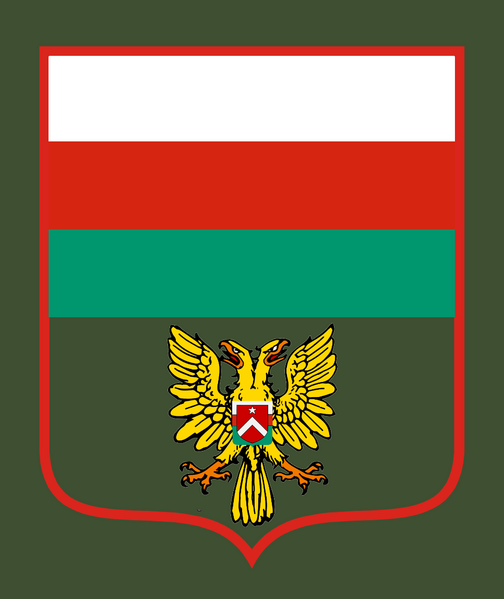 檔案:伊坦里卡人民軍陸軍-新國徽第007號命令臂章.png