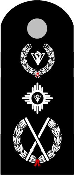 檔案:警務處署長徽章.png