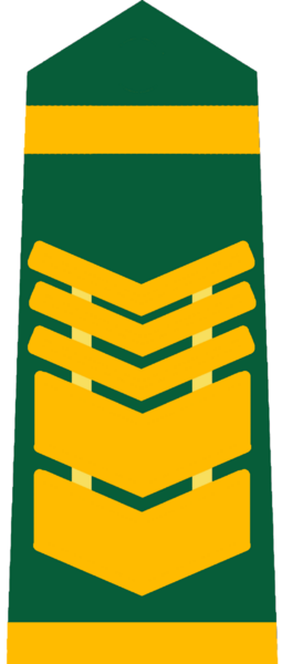 檔案:旗津國陸軍一等士官長.png