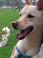 於 2024年4月1日 (一) 18:57 版本的縮圖