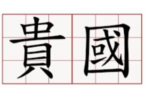 劉伃晴提供之貴國國旗.jpg