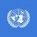 華人微型國家聯合國 Chinese Micronational United Nations國旗
