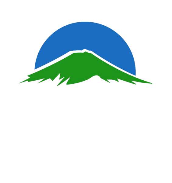 檔案:靖康維新黨黨徽.png