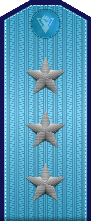 將軍臂章.png