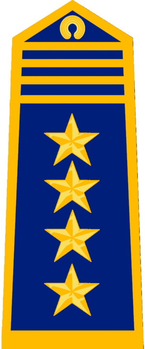 旗津國海岸防衛隊一級上將.png