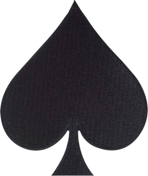 NUR emblem.png