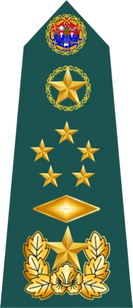 檔案:六星元帥.png