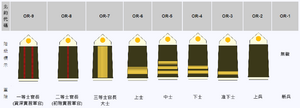 伊坦里卡-准尉、士官、士兵常服禮服軍階列表.PNG