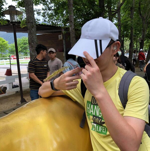 檔案:26.jpg
