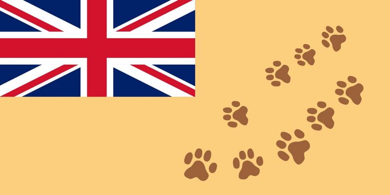 檔案:RDL flag.jpg