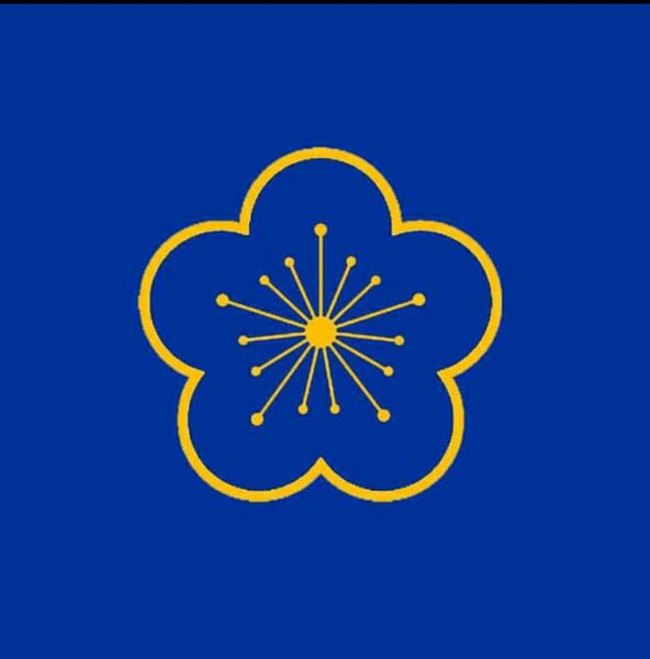 檔案:南京帝國政府旗幟.jpg
